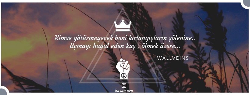 Wallveins - MemoryHackers.png