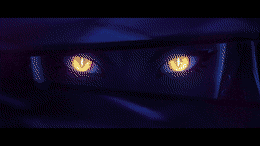 WindyOddballChimpanzee-max-1mb.gif
