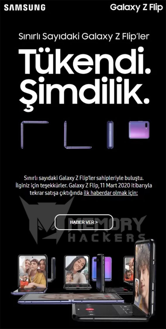 z.jpg