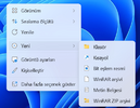 resim_2024-01-07_130019474.png