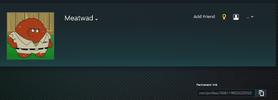 steam gitmiş.png