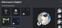 Ekran görüntüsü 2024-08-21 002249.png