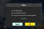 pubg1.JPG