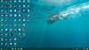 1563701040548.png