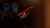 tumblr_pssoawbiLS1vnyoiv_540.gif
