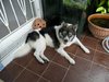 25045046-ADE3-4BD7-8F17-855AD2E2ED24.jpeg