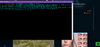 Capture.PNG