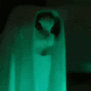 oxytyche_51.gif