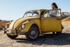 bumblebee1.jpg bumblebee1.jpg