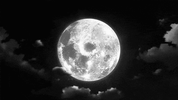 6C49985D-A6C2-47A4-88BC-5CD5984C96B0-1.gif