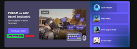b1.png