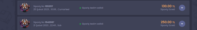resim_2023-05-03_013306615.png