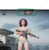 ppp.png