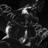bedirhantr11