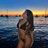 sugardaddyxi