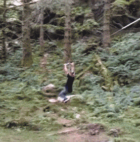 giphy.gif