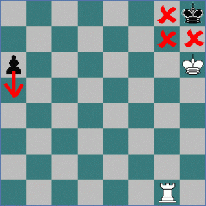 check8-300x300.gif