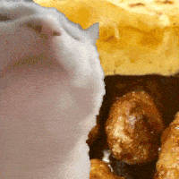 cevapi.gif