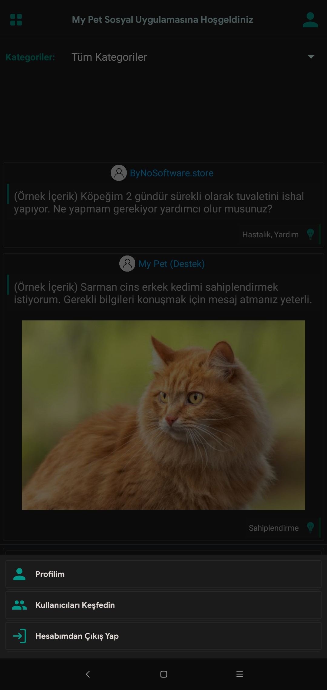 px2qdyj.jpg