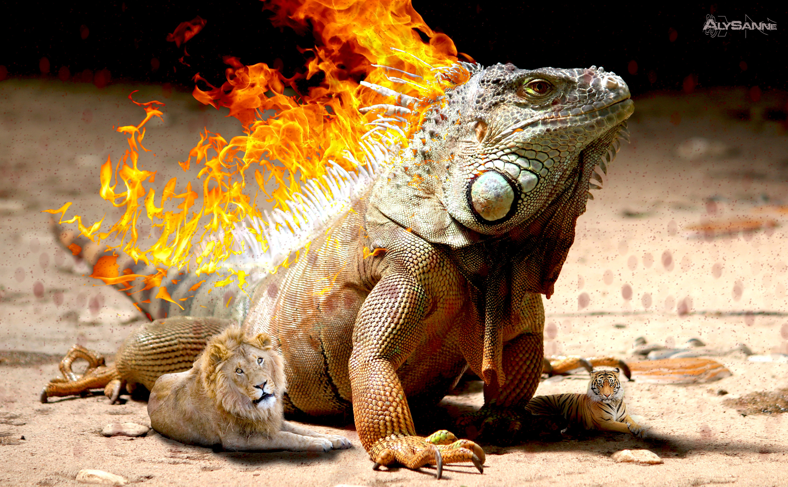 LbQZzo.jpg