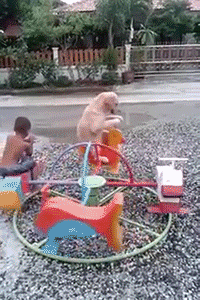 tumblr_nrd6kqlTzr1uaf4f8o1_250.gif