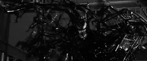 tumblr_n4frk3t7Cp1qcga5ro1_500.gif