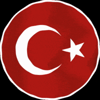 Turkish Flag GIF