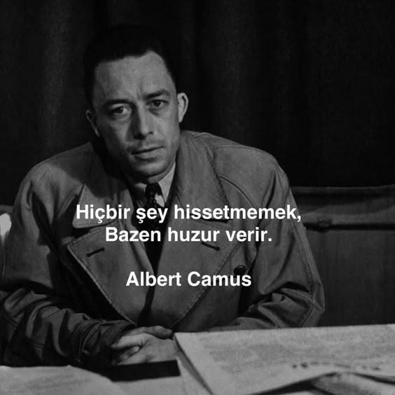 519dc1ab321f8abfd2b5cf3fe8ef9e80.jpg