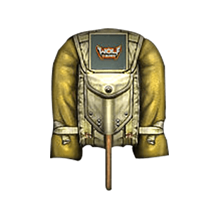 c1iw.png