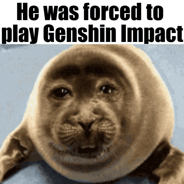 genshin-genshin-impact.gif