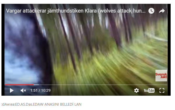 qEXJMV.png
