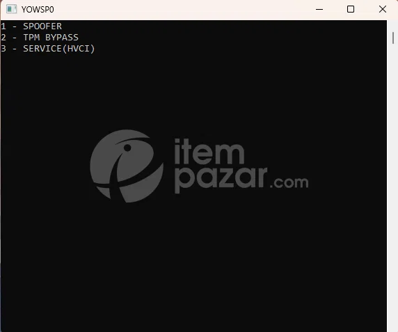 valorant-spoofer-hvci-tpm-bypass-14001801.png
