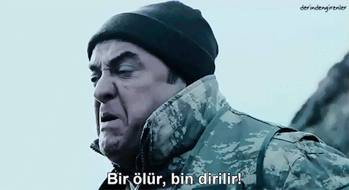 tumblr_nefah7rp4b1ra0onfo1_500.gif