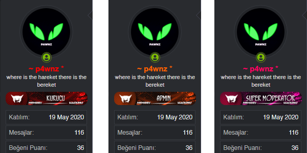 rank-al-mas-profil.png