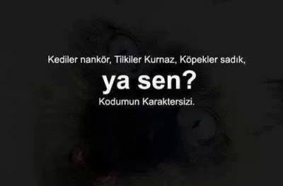geceye-bir-soz-birak_1236558.jpg