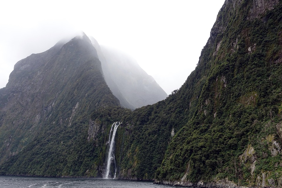nature-2466927_960_720.jpg