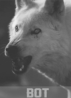 l142bb.gif