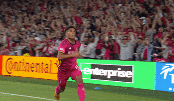 Feiern Sie St. Louis GIF von Major League Soccer