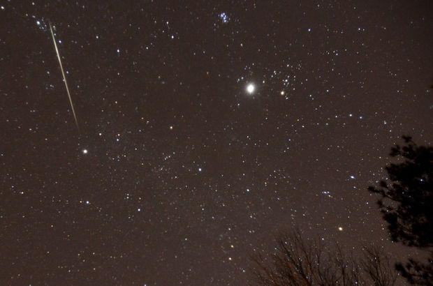 1338929_620x410.jpg