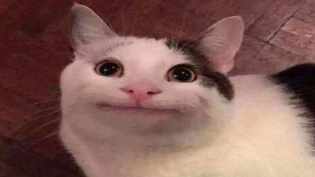 maxresdefault.jpg