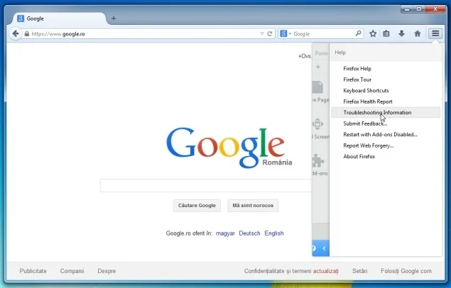 Firefox-Troubleshooting-Information.jpg