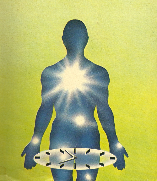 tumblr_navr5sPcm21s5u2cno1_500.png