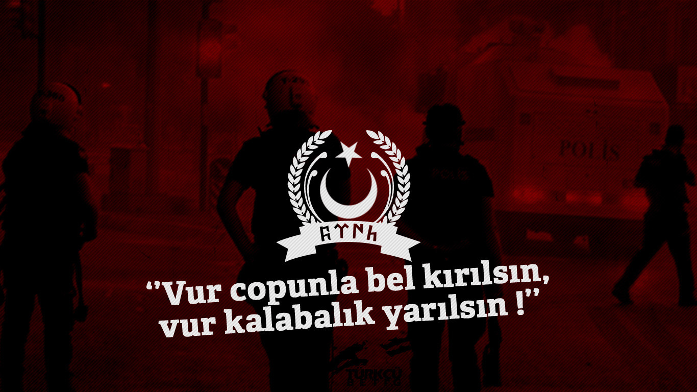 gqb1r3.jpg