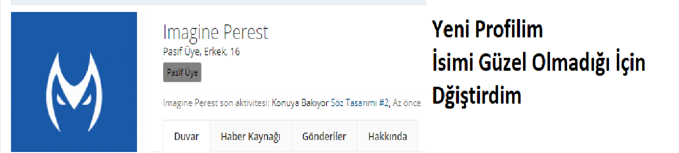 NO4PaO.png