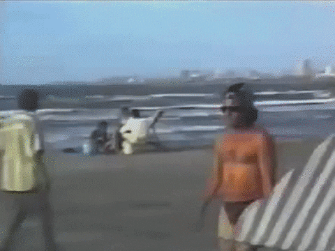 giphy.gif