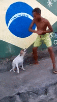 GIF de cachorros dançantes