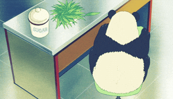 Panda girando GIF