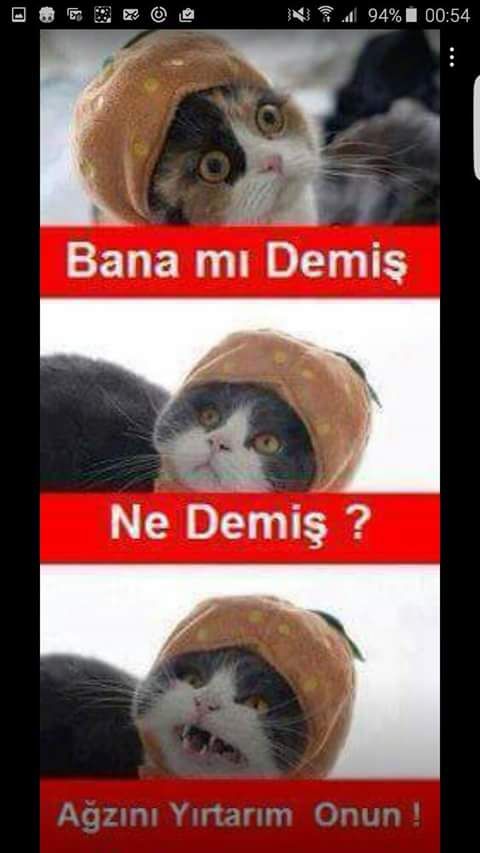 Komik değil biliyorum.