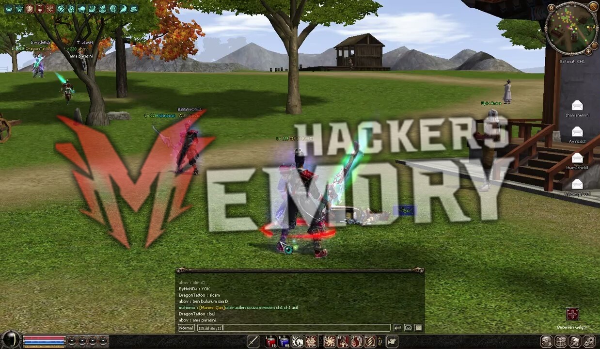 1g343D.jpg