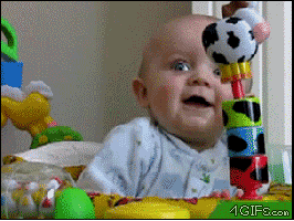 v42q1D.gif